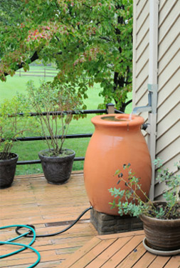 Rain Barrel